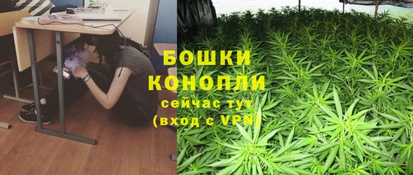 твердый Няндома
