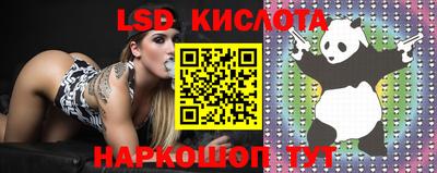 скорость Бийск