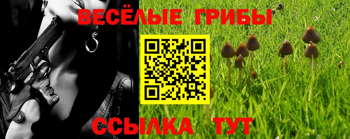 Югорск  закладки  Вход с VPN  Псилоцибиновые грибы мухоморы  Псилоцибиновые грибы Magic Shrooms 