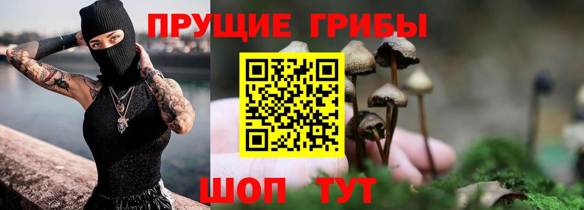 Галлюциногенные грибы Psilocybe  Югорск  Галлюциногенные грибы Magic Shrooms 