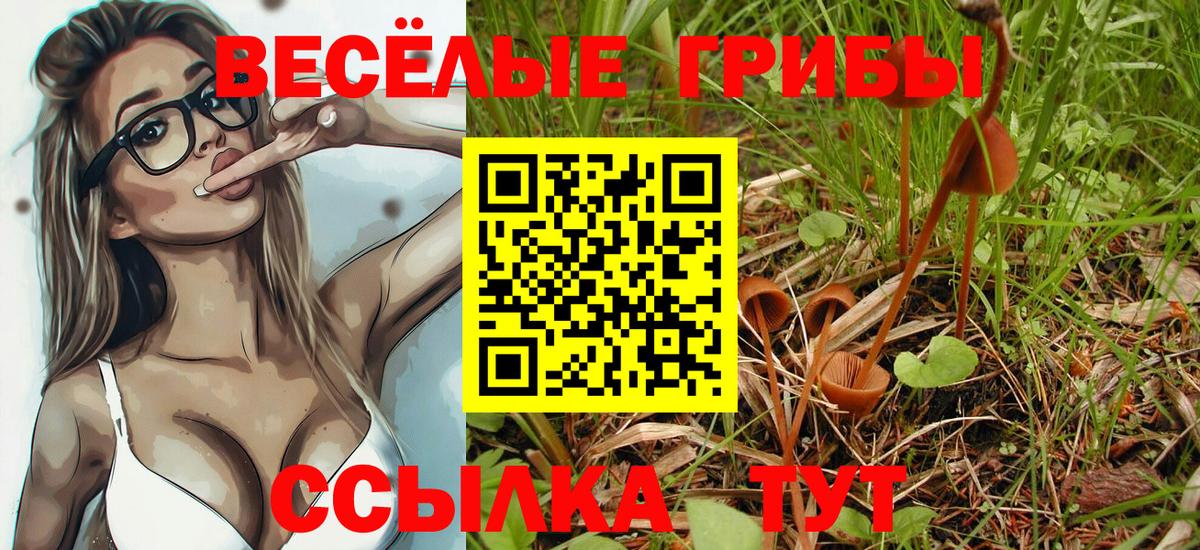 Галлюциногенные грибы мухоморы Югорск